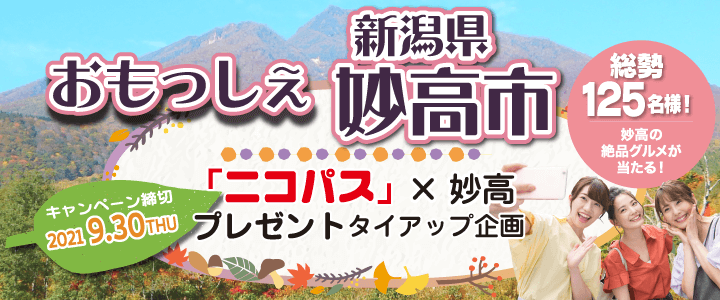 格安レンタカー予約ならニコニコレンタカー 12時間2525円